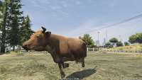 В GTA 5 можно превратиться в корову!