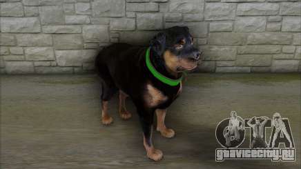 Rottweiler from GTA 5 для GTA San Andreas