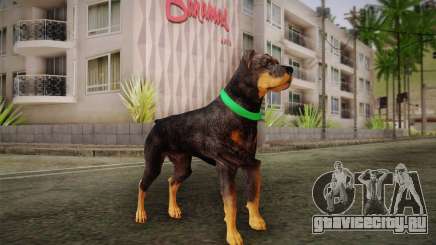 Rottweiler from GTA V для GTA San Andreas
