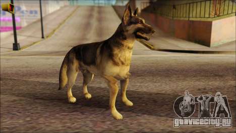 Dog Skin v2 для GTA San Andreas