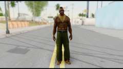 MR T Skin v3 для GTA San Andreas