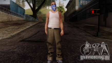 New Fam Skin 2 для GTA San Andreas