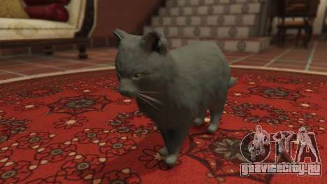 Gray House Cat для GTA 5