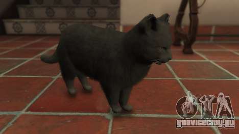 Gray House Cat для GTA 5