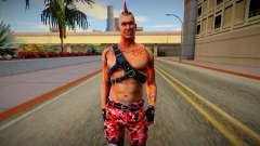 Punk (good skin) для GTA San Andreas