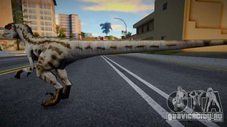 Velociraptor для GTA San Andreas