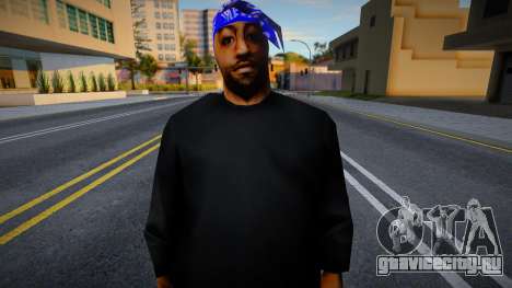 New Grove Street skin v1 для GTA San Andreas