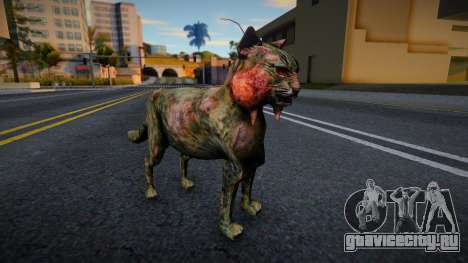Кот из S.T.A.L.K.E.R. для GTA San Andreas