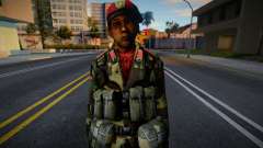 Военный НОАК из Battlefield 2 v2 для GTA San Andreas