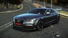 Audi RS5 Dukazhy