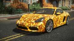 Porsche 718 Wizury S12