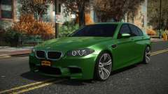 BMW M5 F10 Vukix