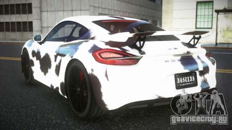 Porsche Cayman Riley S4 для GTA 4