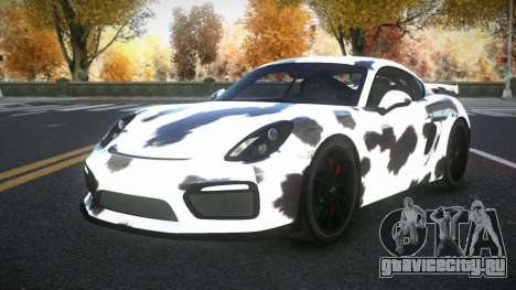 Porsche Cayman Riley S4 для GTA 4