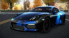 Porsche Cayman Riley S9 для GTA 4