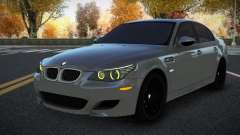BMW M5 E60 Bagagaxid