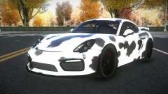 Porsche Cayman Riley S4 для GTA 4