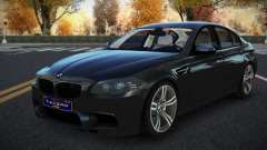 BMW M5 F10 Bexiz