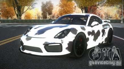 Porsche Cayman Riley S4 для GTA 4