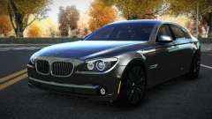 BMW 750Li Lake
