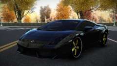 Lamborghini Gallardo Vakex