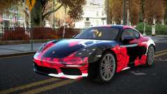 Porsche Cayman Ratria S14