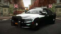 Dodge Charger Majuv