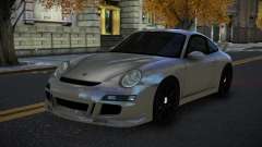 Porsche 997 Puncon