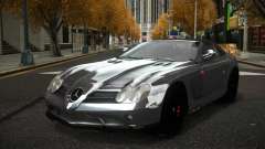 Mercedes-Benz SLR Xanic