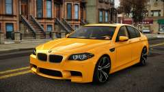 BMW M5 F10 Somem