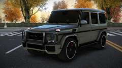 Mercedes-Benz G65 AMG Ebey для GTA 4