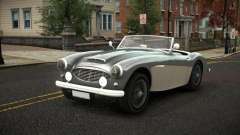 Austin-Healey 100 Wozlehap для GTA 4