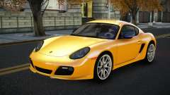 Porsche Cayman Soly