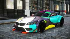 BMW Z4 Andley S10