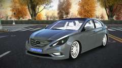 Hyundai Sonata Rovis для GTA 4