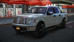 Ford F150 Tatuwin