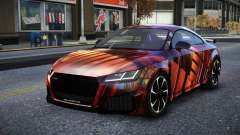 Audi TT Tertous S13