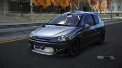 Peugeot 206 Zodin