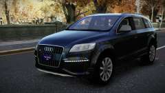 Audi Q7 Tecsava