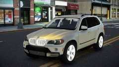 BMW X5 Nizinij