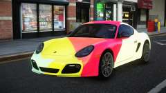 Porsche Cayman Linclasa S11
